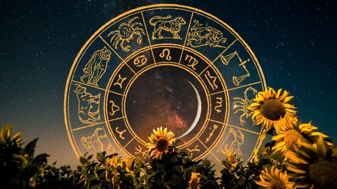 Your New Moon in Leo Reading