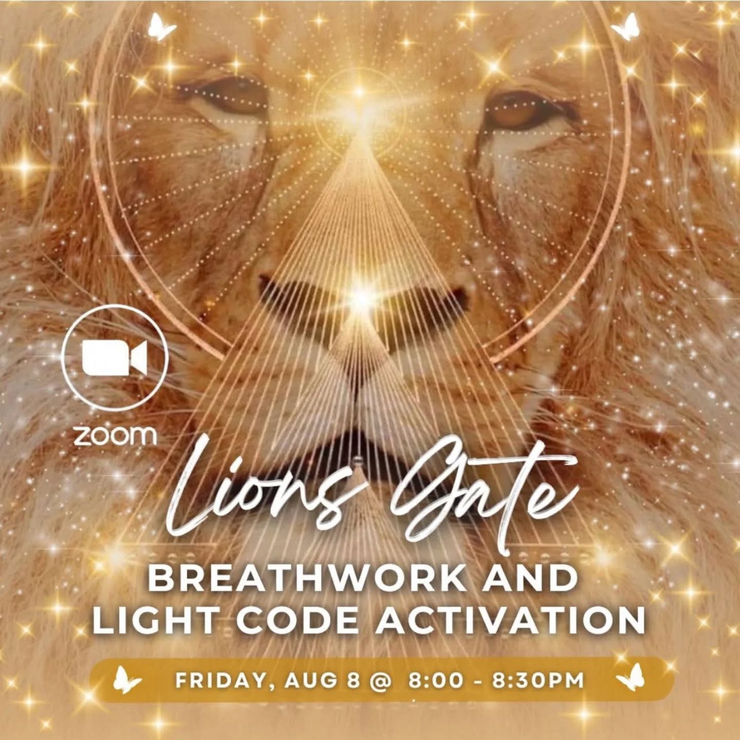 Lions Gate Light Code Activation