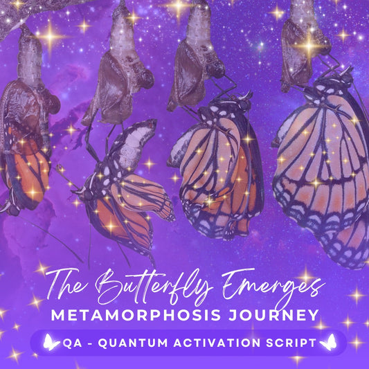 The Butterfly Emerges