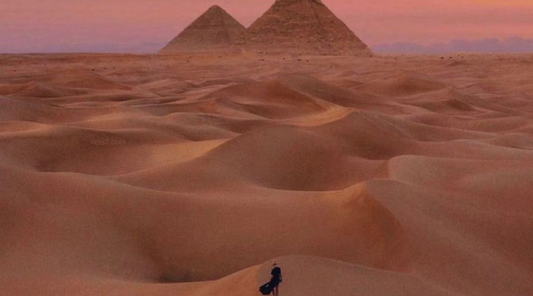 Beyond Past and Future: The Field Where All Lives Exist