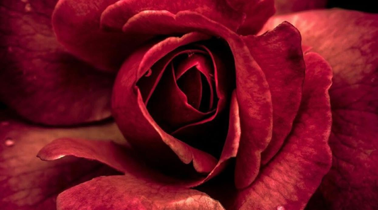 The Sacred Passage of Menopause and the Next Mission of the Wise Woman