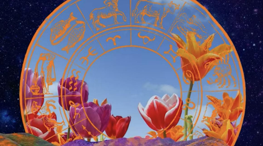 The Great Softening: An Equinox Akashic Transmission