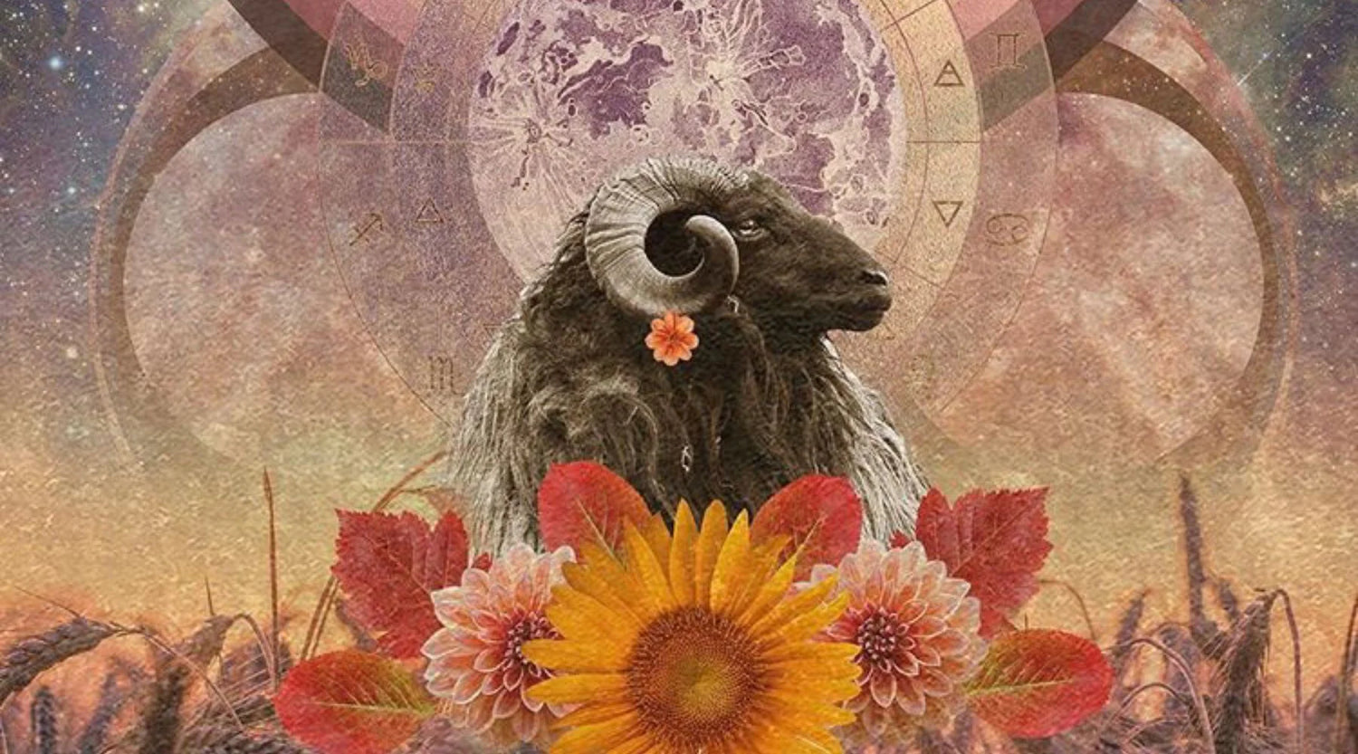 YOUR FULL MOON IN ARIES READING