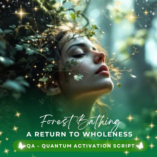 Forest Bathing