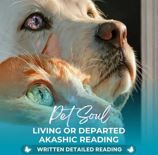 Pet Soul Reading Living or Departed