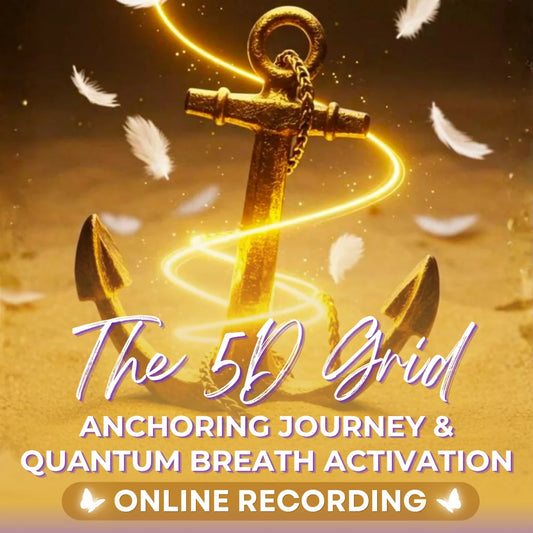 The 5D Grid Anchoring Journey